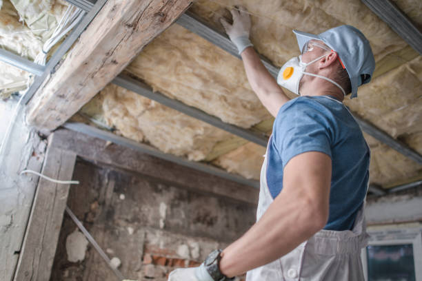 Best Geographic-Specific Insulation Services in North Wilkesboro, NC